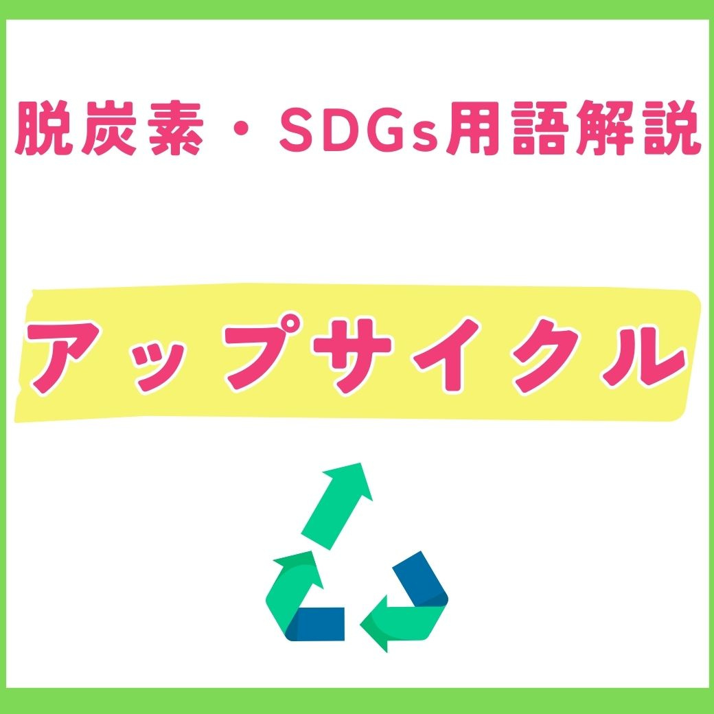 【用語解説】アップサイクルとは？ 廃棄物に新たな価値を吹き込むサステナブルな取り組み