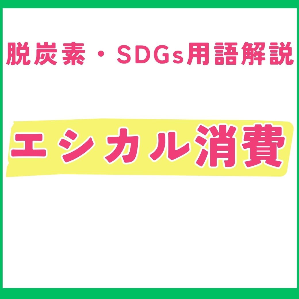 【用語解説】エシカル消費とは？初心者向けに意味や事例を詳しく解説！
