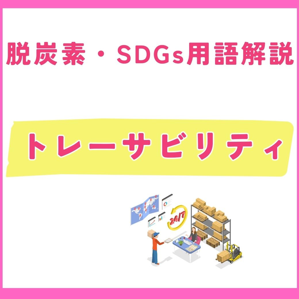 【用語解説】トレーサビリティとは？サプライチェーンの透明性を高める仕組みを解説