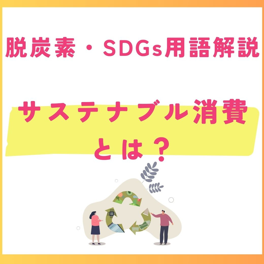 【用語解説】サステナブル消費とは?SDGsの観点から解説
