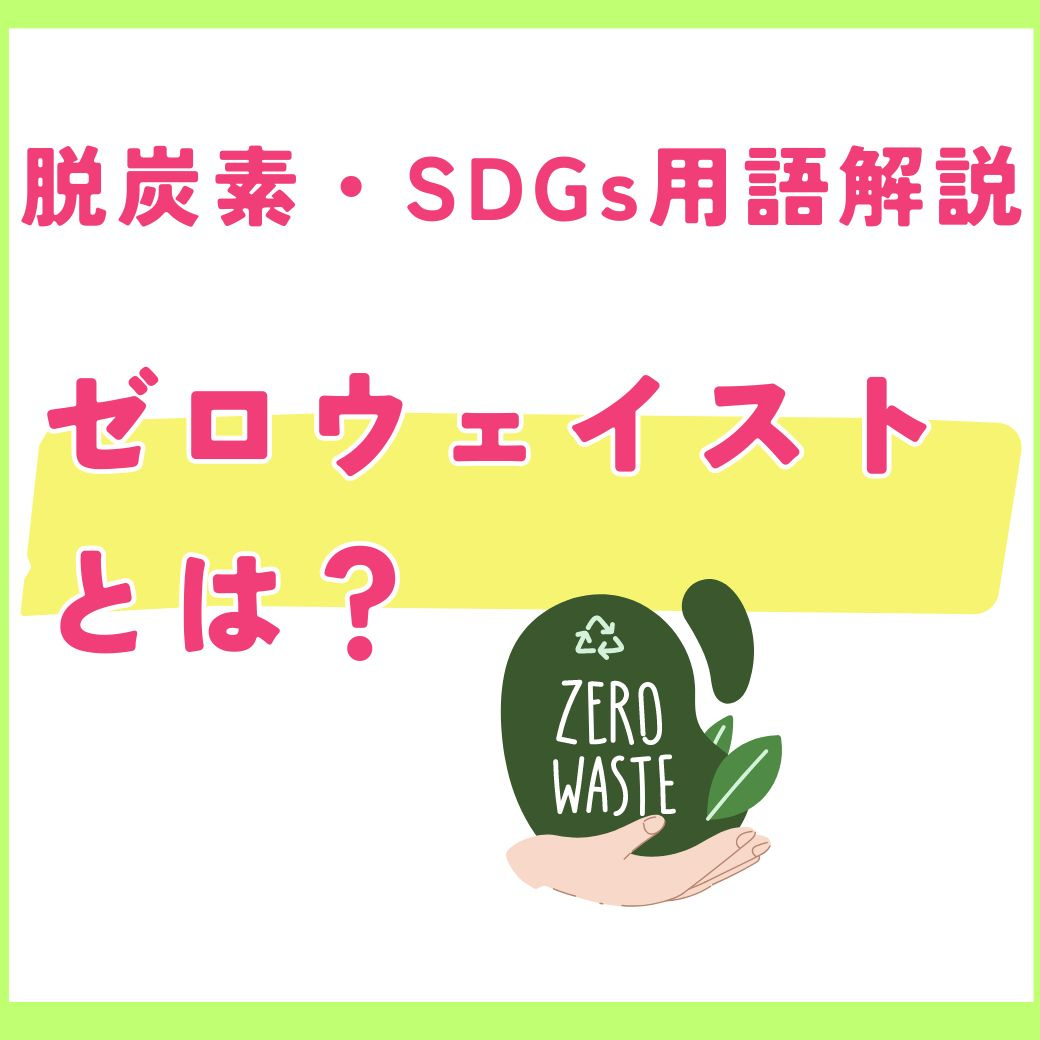 【用語解説】ゼロウェイストとは?SDGsの観点から見るゴミゼロへの取り組み