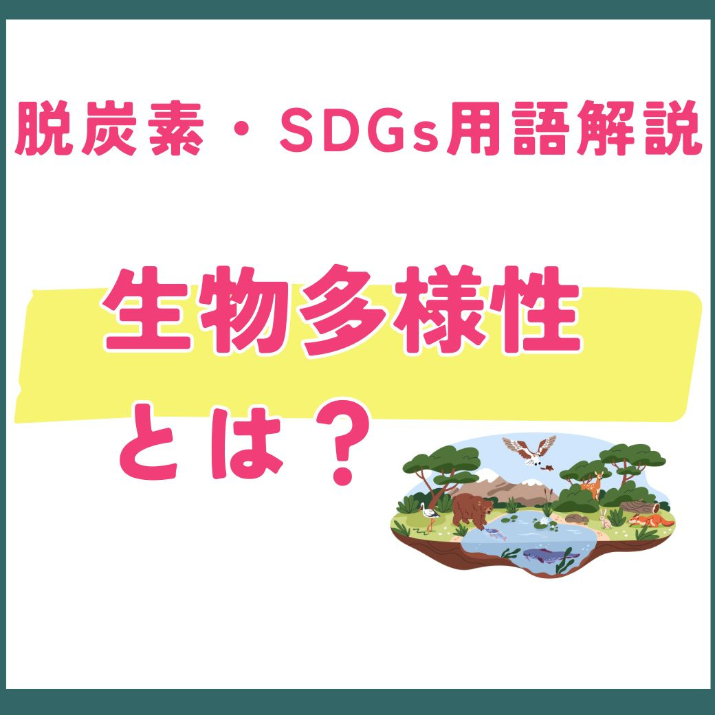 【用語解説】生物多様性とは?私たちの暮らしと密接な関係