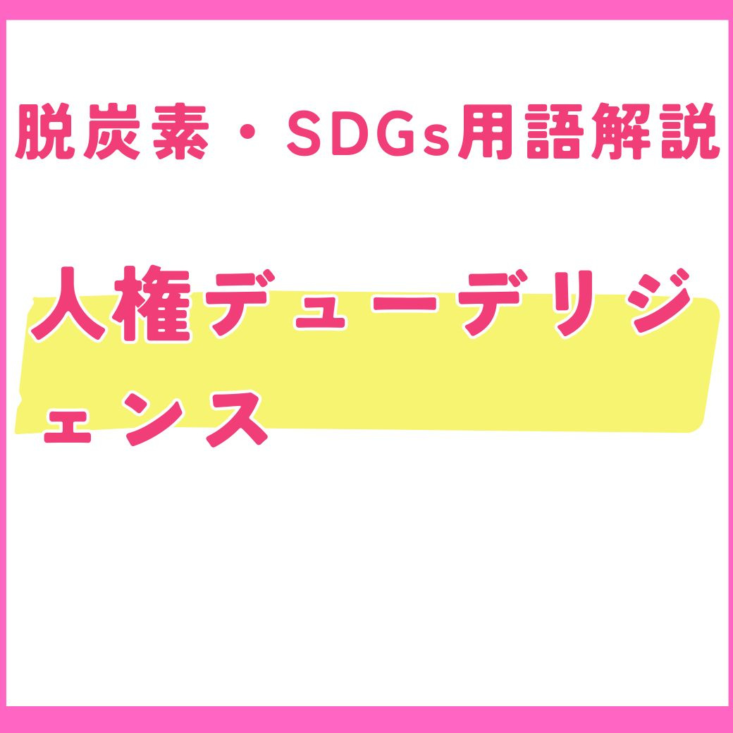 【用語解説】人権デューデリジェンスとは？企業の取り組みと課題を解説
