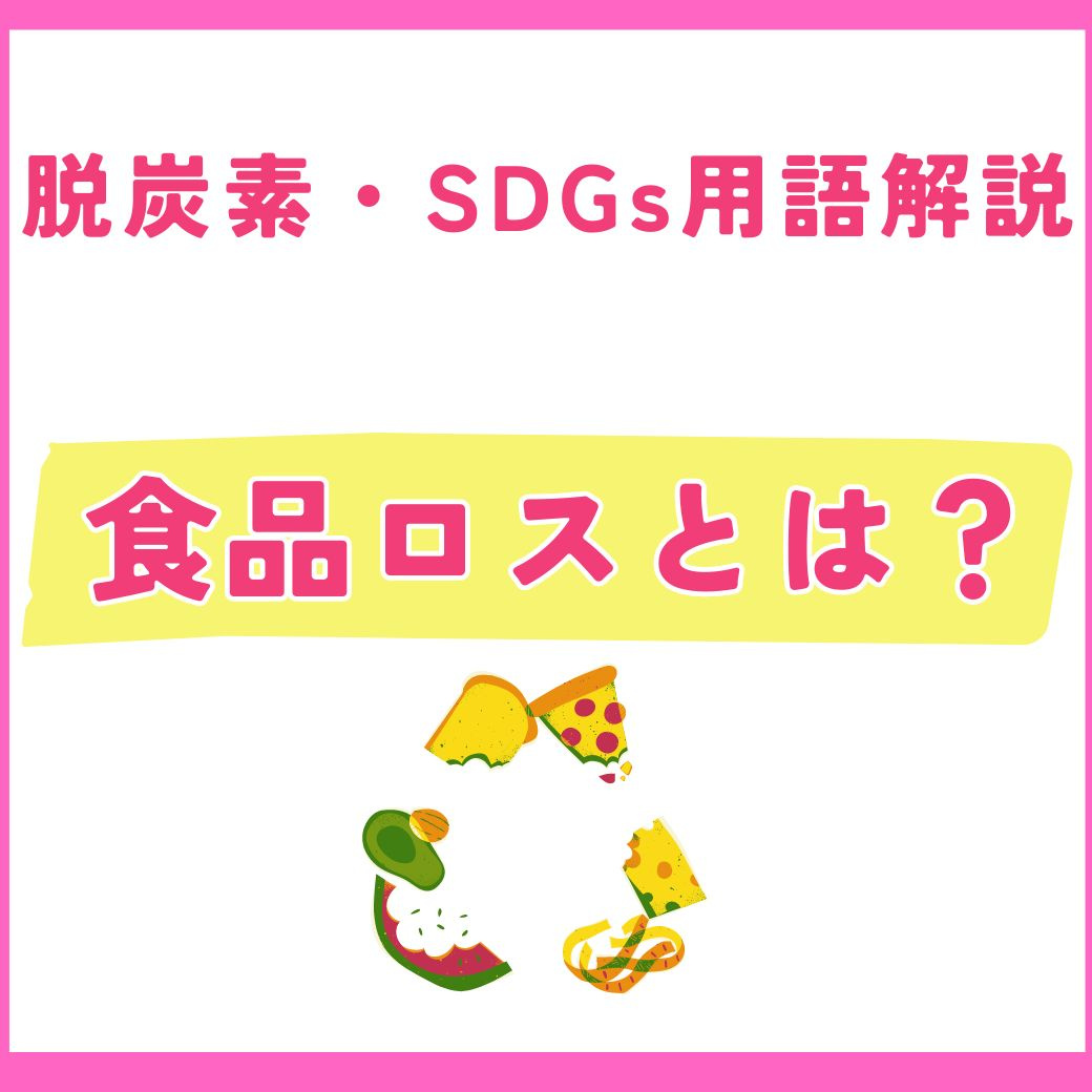 【用語解説】食品ロス問題の現状と企業の挑戦 – SDGsの観点から考える