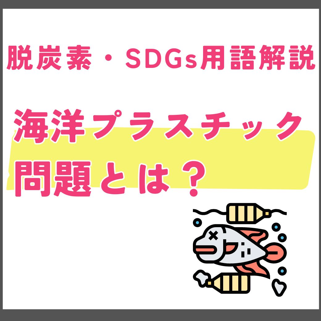 【用語解説】海洋プラスチック問題とは？現状と対策を解説